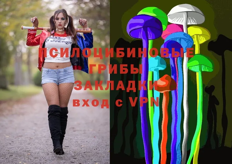 Галлюциногенные грибы MAGIC MUSHROOMS  Большой Камень 